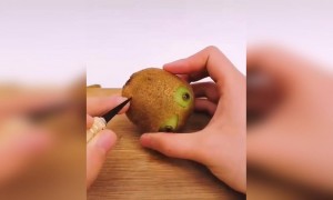 કીવી પર કલાકારી