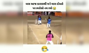 આ જોયા બાદ મને કોઈ પર ભરેશો જ નથી રહ્યો