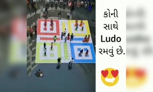 કોની સાથે રમવું છે આવી રીતના લુડો