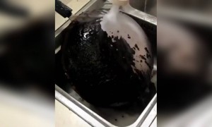 ફોમ વોશની મદદથી ગમે તેટલા જિદ્દી ડાઘ પણ દૂર કરી શકાય છે વાસણો માંથી