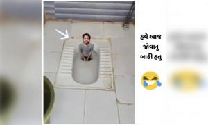 બસ હવે એક આવું એડીટીંગ જોવાનું બાકી રહ્યું હતું