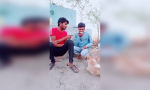 આ કૂતરો કેમ મારી સામે જુએ છે?