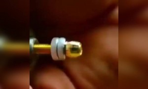 નટ બોલ્ટ ની મદદથી બનાવી મધમાખીની પ્રતિકૃતિ