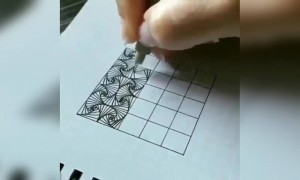 નજીકના સમયમાં પ્રચલિત થઇ રહ્યું છેઆ ડુડલ આર્ટ