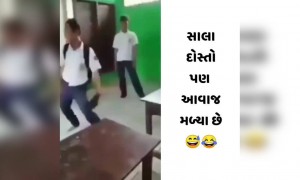 બધાના ગ્રુપમાં હોય જ આવા મિત્રો