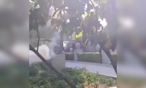 સ્મોક રિંગ