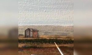 પેઇન્ટિંગ છે કે હકીકત એ જ વિચારમાં પડી જશો