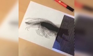 કલાકારની કલાકારે જુઓ