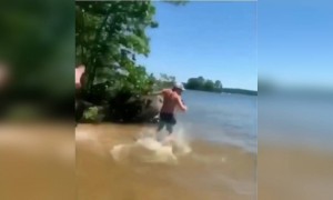 અરે ભાઈ.....અરે....