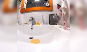 સાબુ પણ દેખાડી રહ્યો છે કરતબ