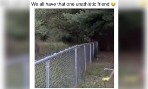 મારા મિત્રોની નકલ કરવામાં મારી સાથે કાંઈક આવું જ થાય છે