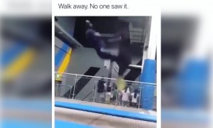 ભાઈ જોશમાં હોશ ખોઈ બેસ્યો