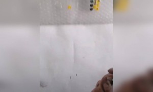 Bubblewrap માં કલર ભરી બનાવી જોકરની જબરદસ્ત પેઇન્ટિંગ