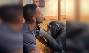 આ વાણંદ પાસે કોણ કરાવશે દાઢી?