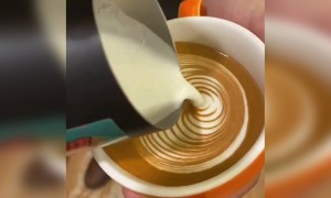 કોફી આર્ટ