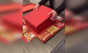 કોને આપશો આવી ગિફ્ટ?