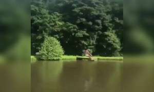 હવે સમજાણું પુરુષો સ્ત્રીઓ કરતા કેમ ઓછું જીવે છે?