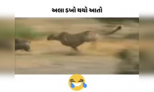 આ જિંદગી જ સાહેબ પળવારમાં બદલી નાખે બાજી