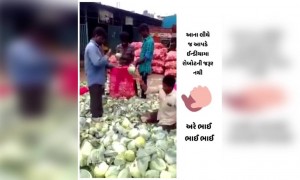 આ કારણે ભારતમાં રોબોટ ની જરૂર પડતી નથી