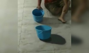 રંગોલી કલાનો અદભુત વિડિઓ