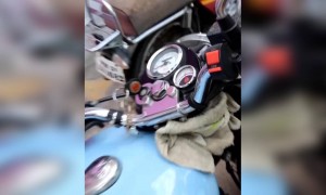 ભાઈને થઇ ગેરસમજ