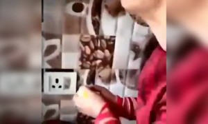 કેરી પણ ન ખાવા દીધી બિચારીને