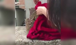 જુઓ આ કલાકારી બનાવ્યું આબેહૂબ ગામડાની પ્રતિકૃતિ