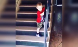 છેલ્લે છેલ્લે ડખો થઇ ગયો.....