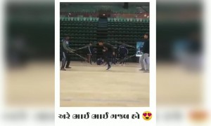 ગણી બતાવો કેટલા દોરડા કુડ્યો