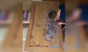 ગજબ છે હો આ ભાઈની જીણવટ