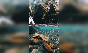 મગજને શાંતિ આપતો એક અદ્ભુત નજારો