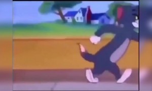 હાય ગરમીનું ટોમે એન્ડ જેરી વર્ઝન