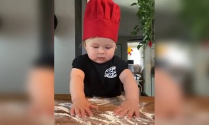 પીઝા બનાવતા આ ક્યૂટ સેફને જોઈ તમારા મોઢામાં પણ આવી જશે પાણી