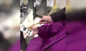 વાણંદ એ કરી નાખ્યો ભગો