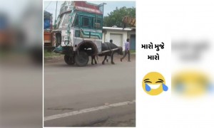 યમરાજ ડ્રાઇવર સાથે ખટારો પણ લઈ જાય છે કે શું?