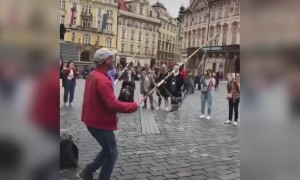 વોશીન્ગટનના રોડ પાર લોકોના મનોરંજન માટે ઉડાડી રહ્યો છે ફૂગા