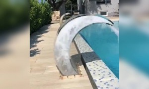 આ સ્વિમિંગ પૂલ નો ફુવારો પણ ગજબ છે હો..