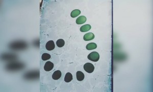 મોર્ડન જમાનાનું મોર્ડન આર્ટ વોટર પેઇન્ટિંગ