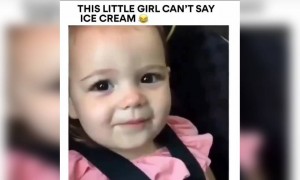 આઈસ ક્રીમ બોલવા માટે મથી રહ્યું છે આ બાળક