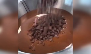 ચોકલેટ લવરને ખાસ શેર કરજો..