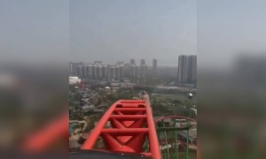 તમે કોની સાથે આ રાઇડમાં બેસવું પસંદ કરશો