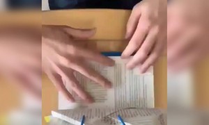 ચોપડીના પાના વાલીને બનાવ્યું આર્ટ