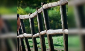 ચોટ દિલ પે લાગી: ફિલ્મ ઇશ્ક વિશ્ક 2003