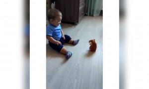 જુઓ રમકડુ અચાનક બોલી ઉઠ્યું અને પછી..