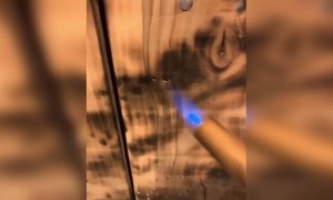 આગની મદદથી લાકડા પર બનાવી દીધું સુંદર મજાનું કુદરતી દ્રશ્ય