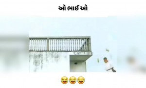 આને કહેવાય હીરો એકલાજ મારતા પહોંચાડી દે બ્રહ્માંડમાં