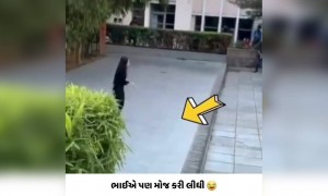 ભાઈ મોજ કરાવી દીધી