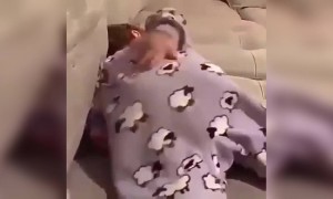 બાળકને ઊંઘ નથી આવતી લાગતી.