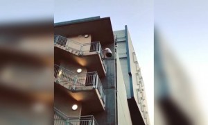 કોણ પહેલા ઉતરશે જુઓ.