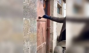 દરવાજા પર બનાવી મસ્ત મજાની પેઇન્ટિંગ